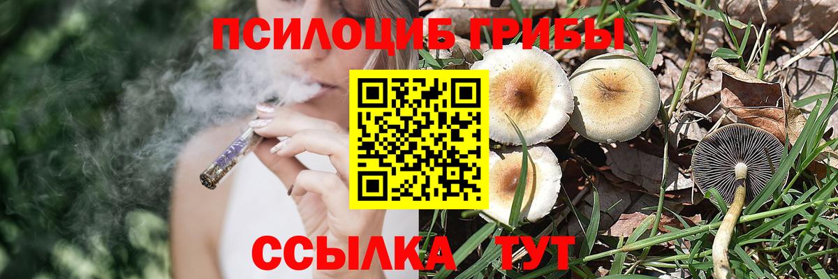 Псилоцибиновые грибы мухоморы  Вход с VPN  Вичуга 